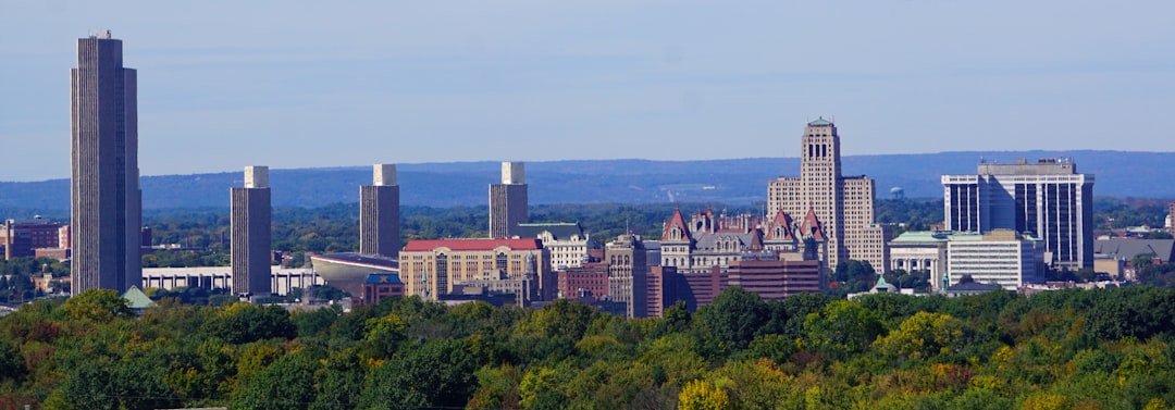 Albany Image