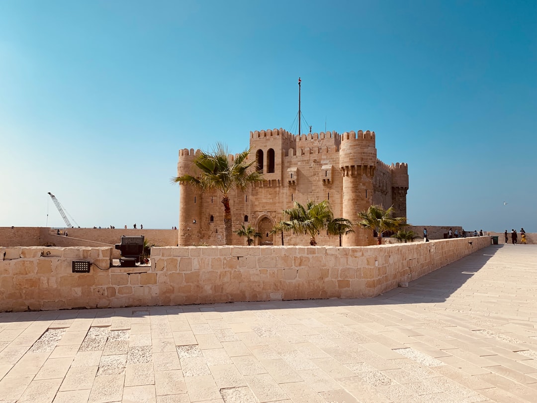 Alexandria Image