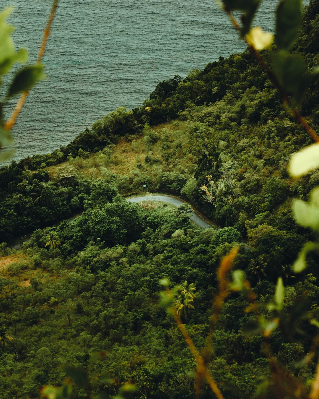 Ambon Image
