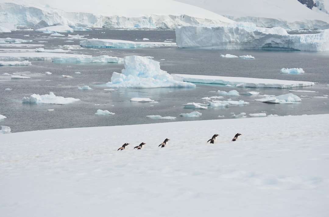 Antarctic Peninsula Image