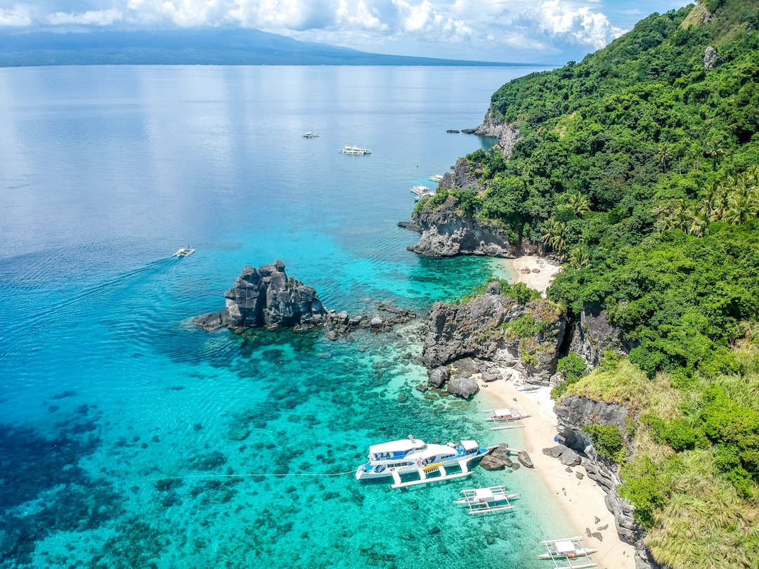 Apo Island Image
