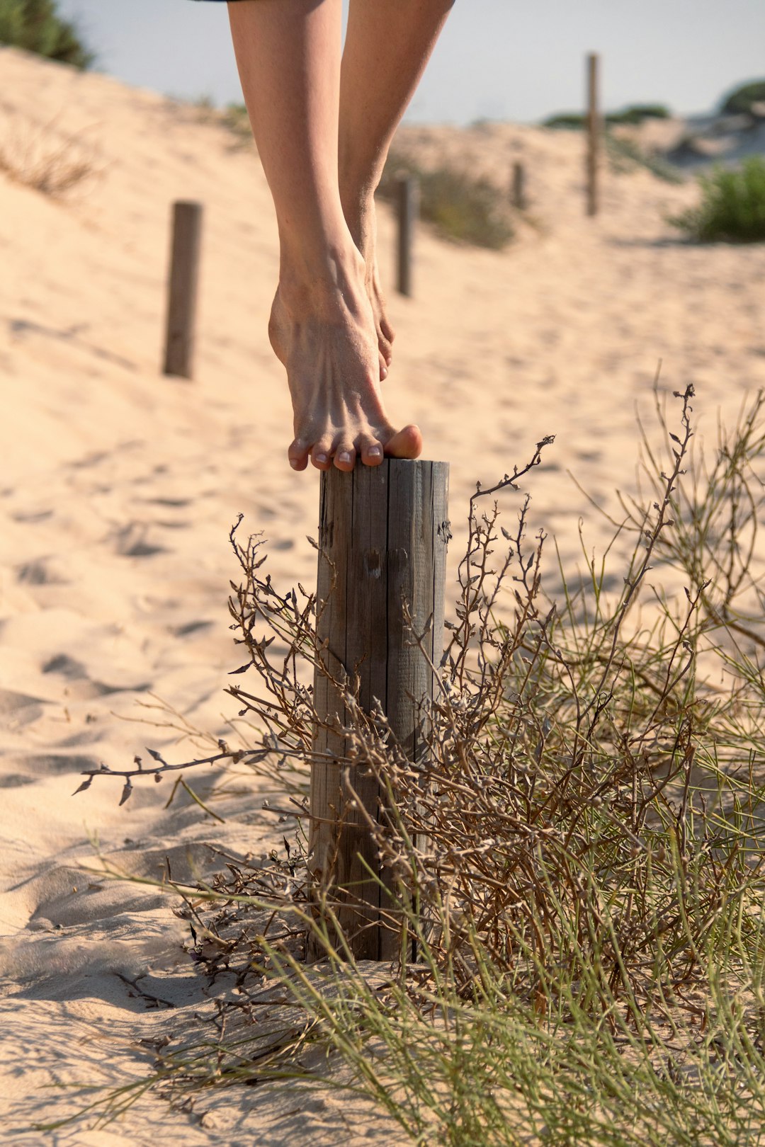 Ashdod Image