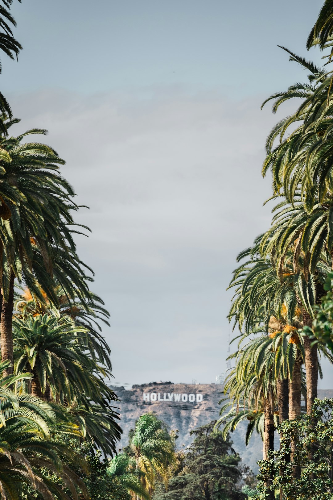 Avalon Image