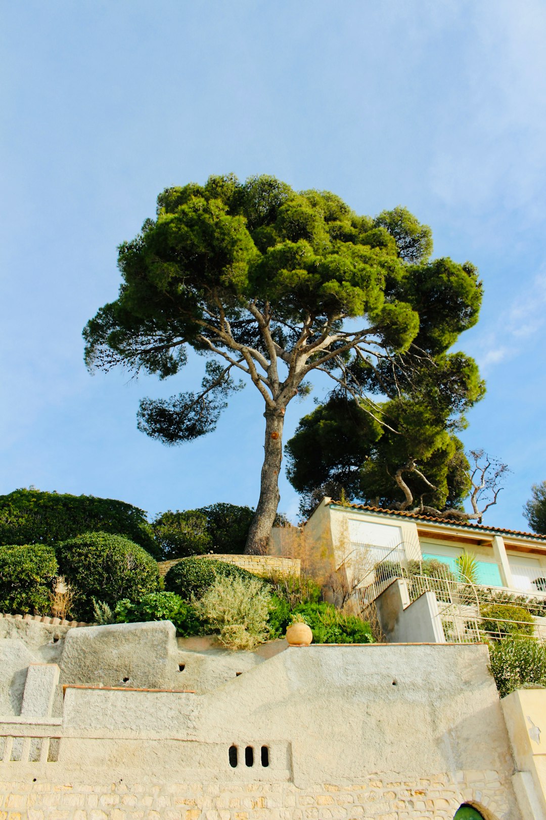 Bandol Image