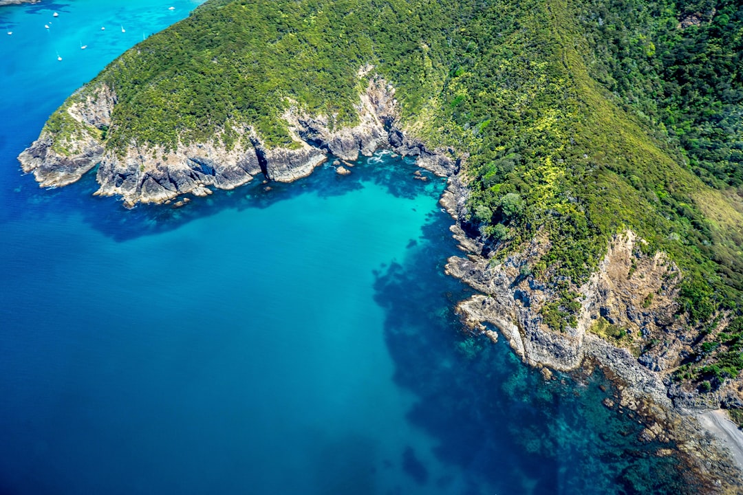 Bay of Islands Image