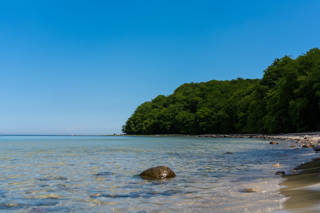 Binz Image