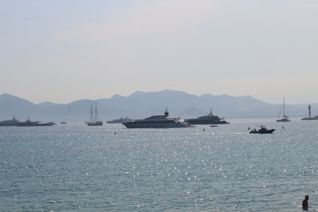 Cannes Image
