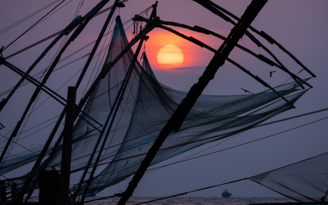 Cochin Image