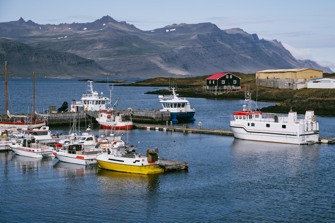 Djupivogur Image