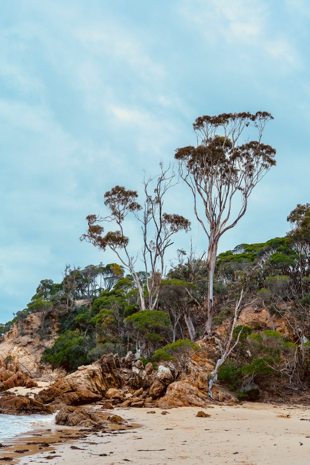 Eden Image