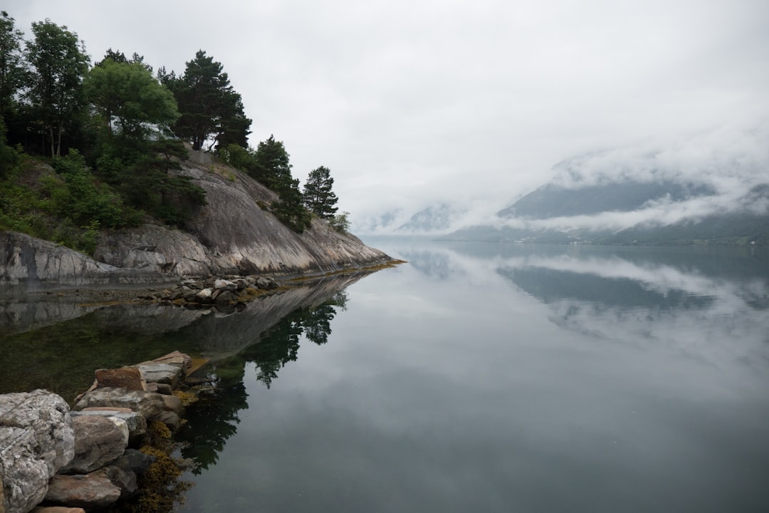 Fjord Cruising Image