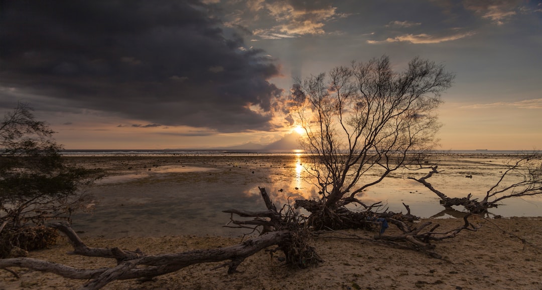 Gili Trawangan Image