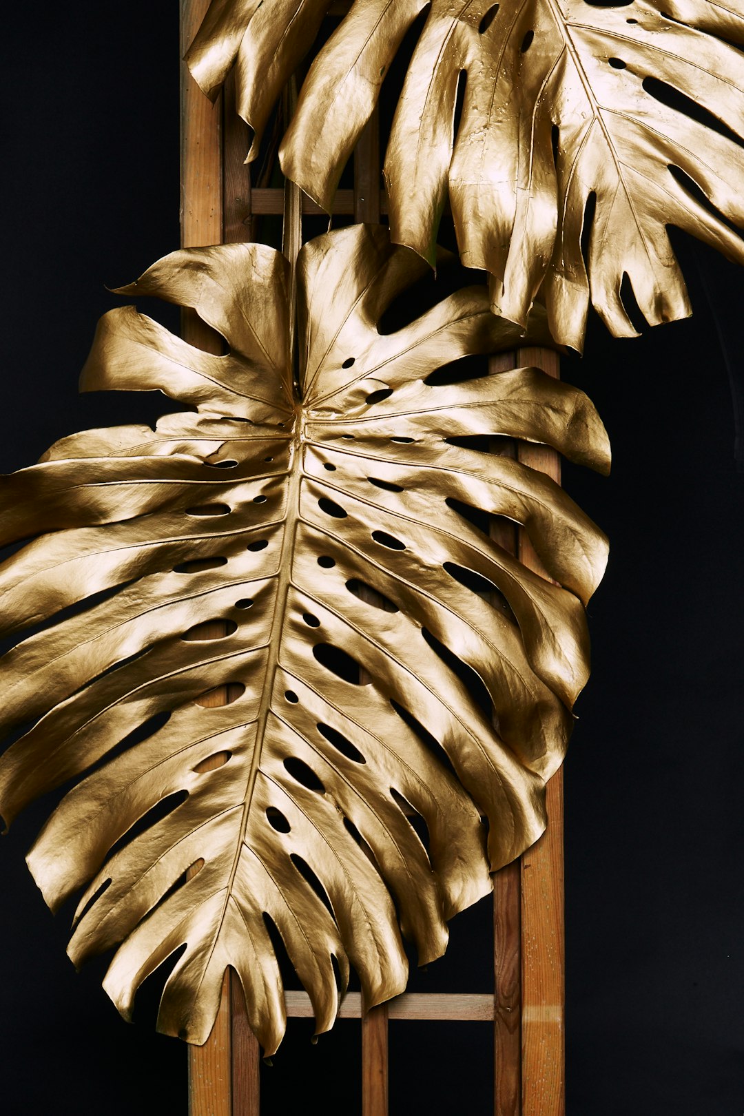 Gold Harbor Image