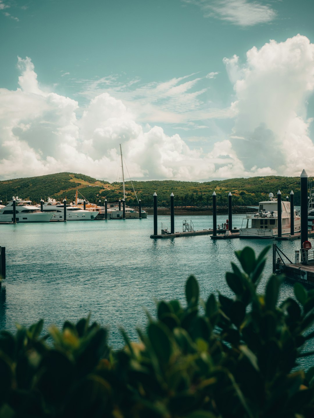 Hamilton Island Image