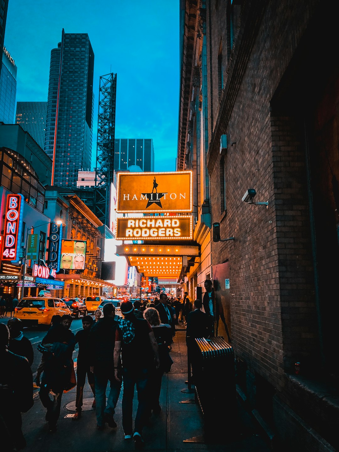Hamilton Image