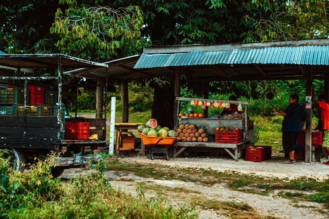 Harvest Caye Image