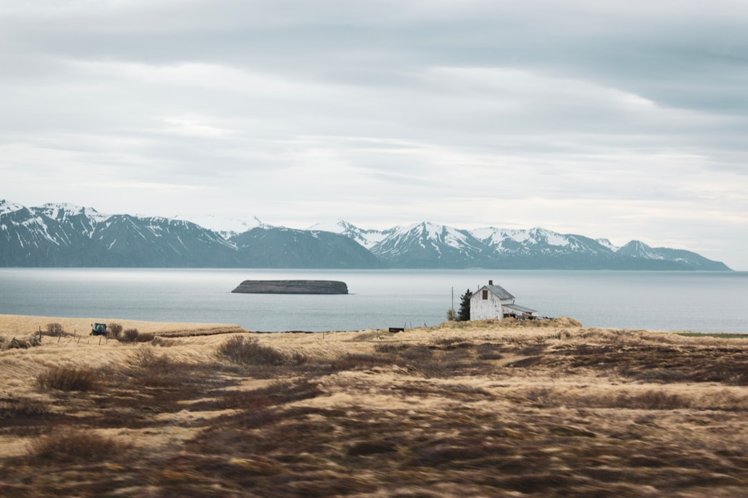 Husavik Image