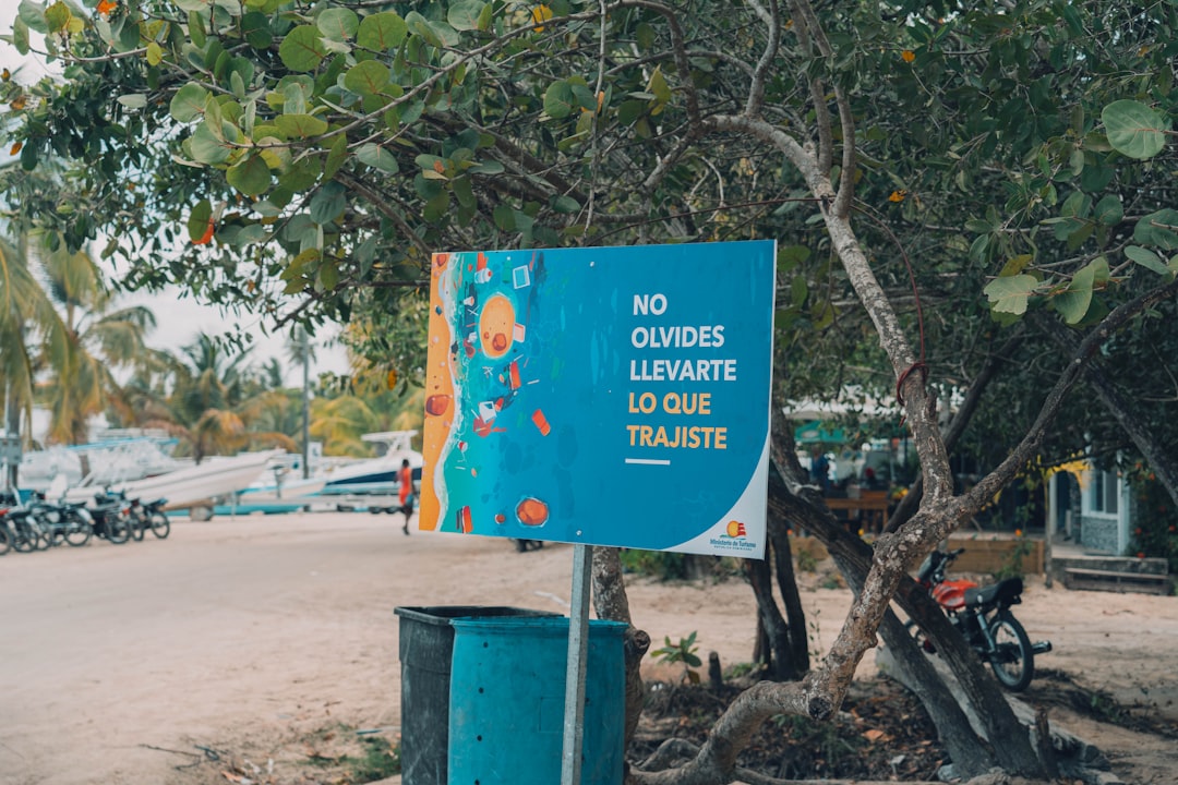 Isla Catalina Image