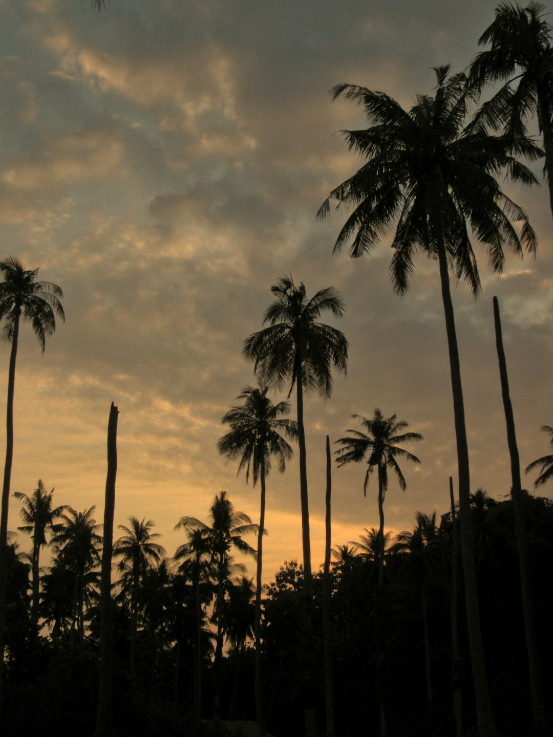 Karimunjawa Image