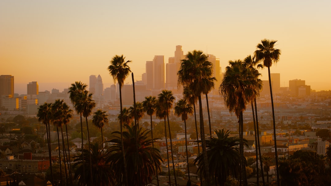 Los Angeles Image