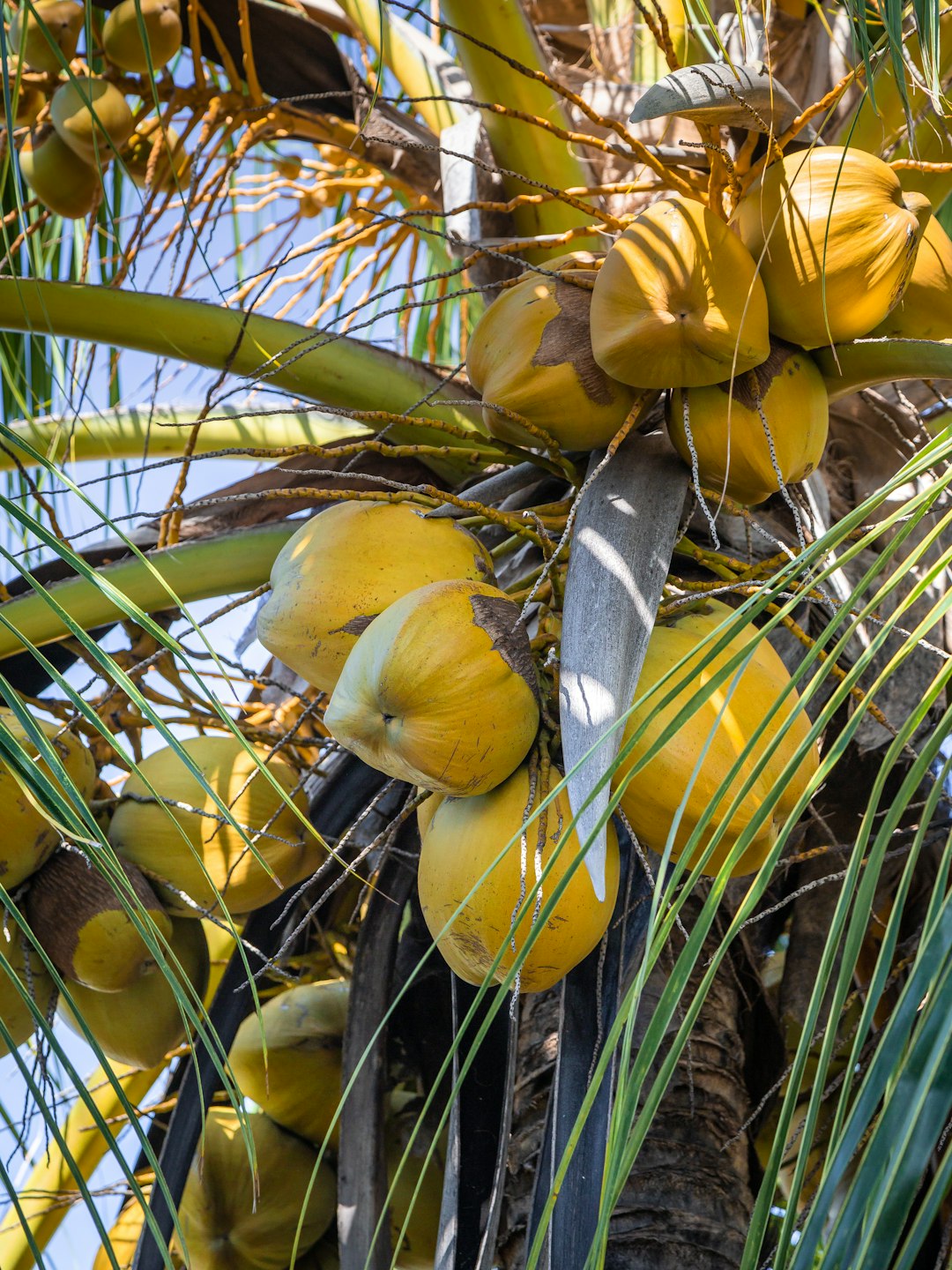 Mahajanga Image