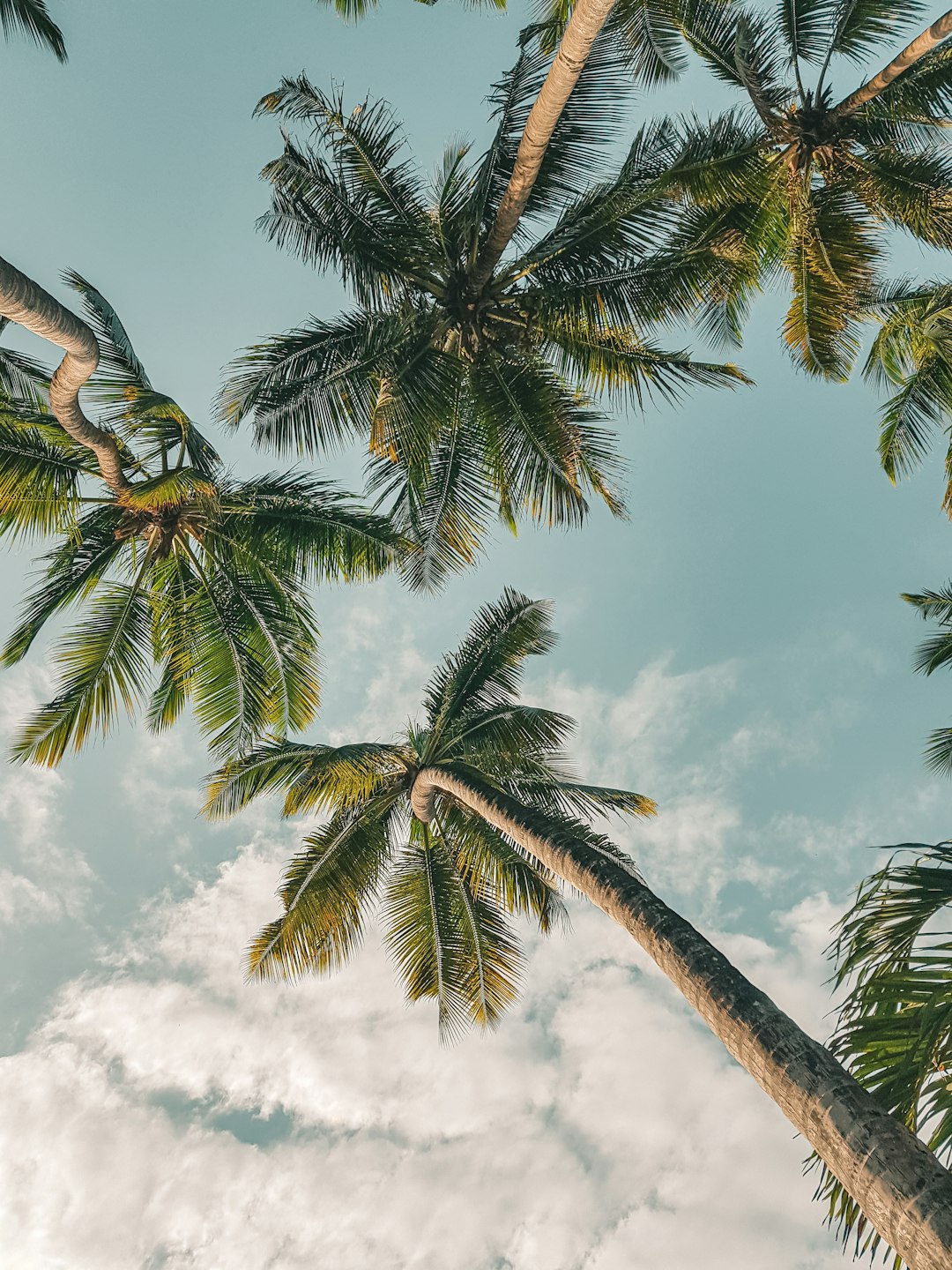 Mombasa Image