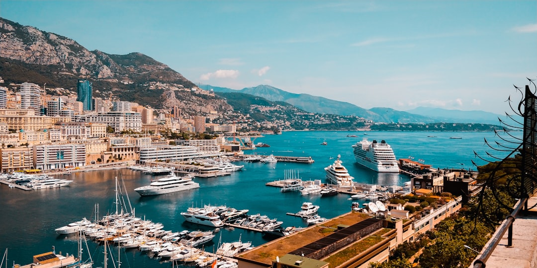 Monte Carlo Image