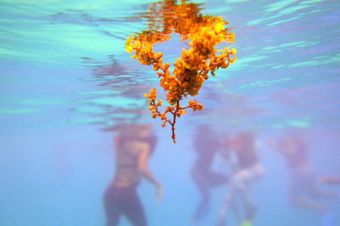 Ocho Rios Image