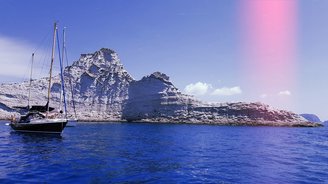 Palmarola Image