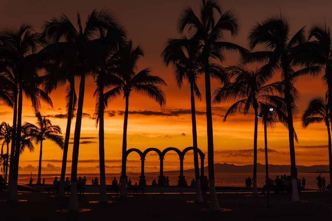 Puerto Vallarta Image