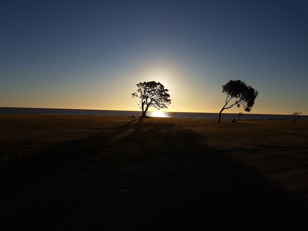 Punta del Este Image