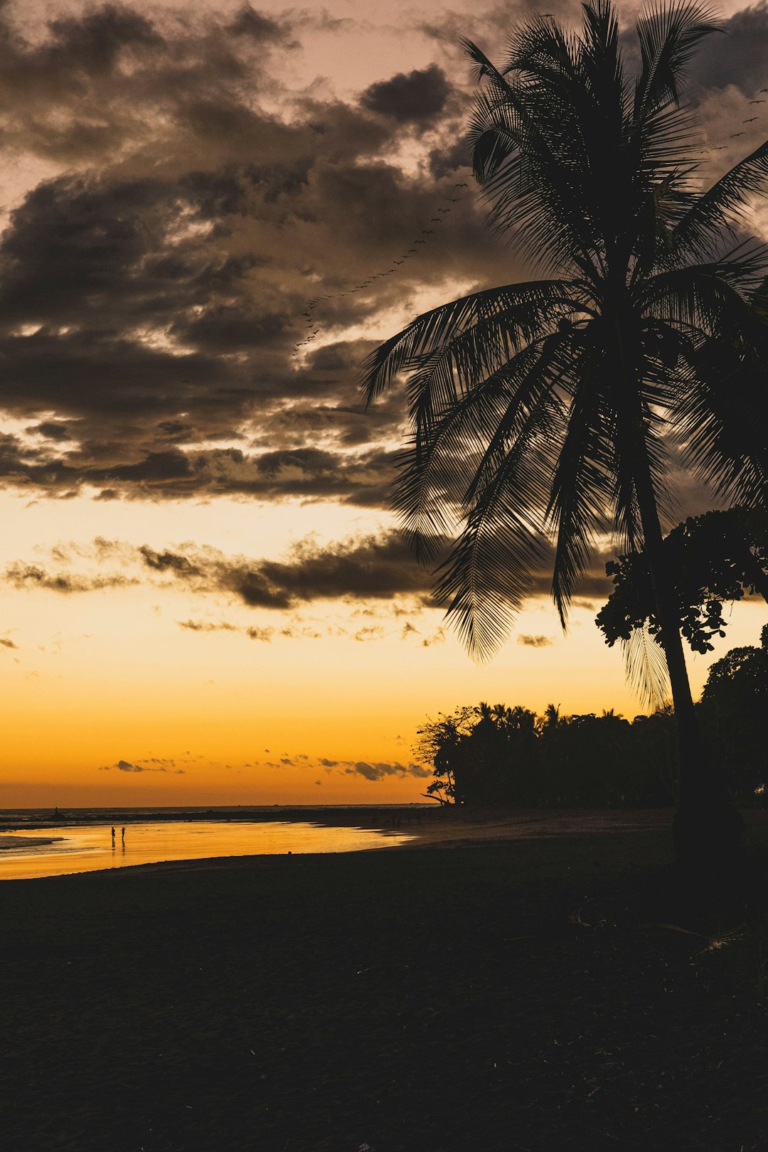 Puntarenas Image
