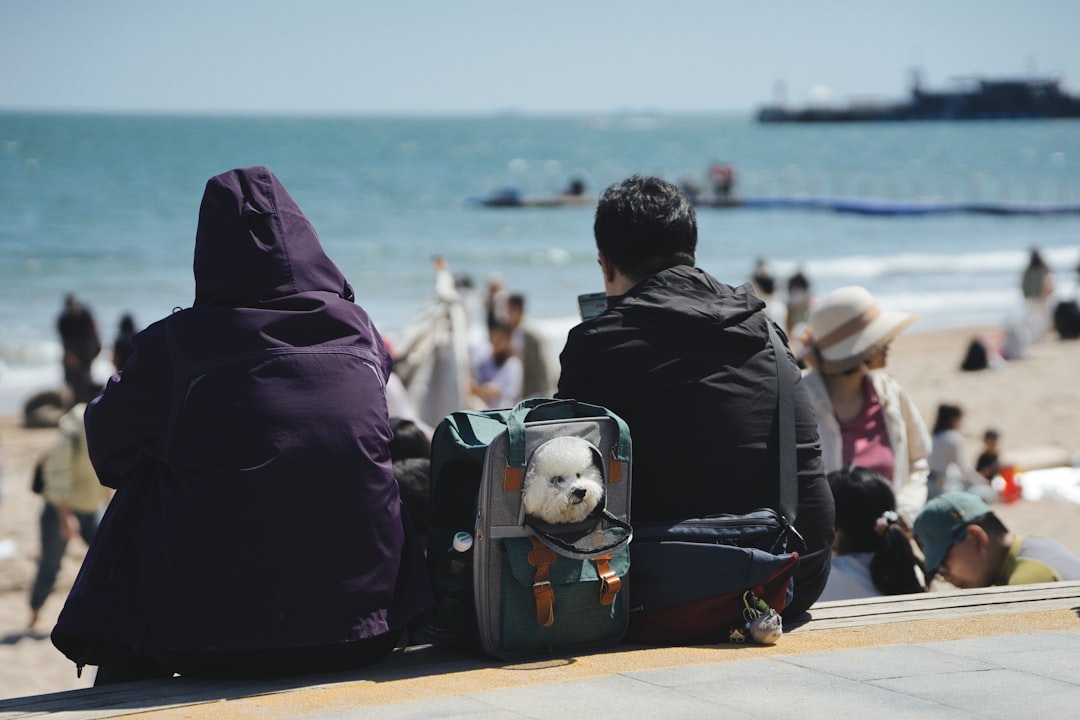 Qinhuangdao Image