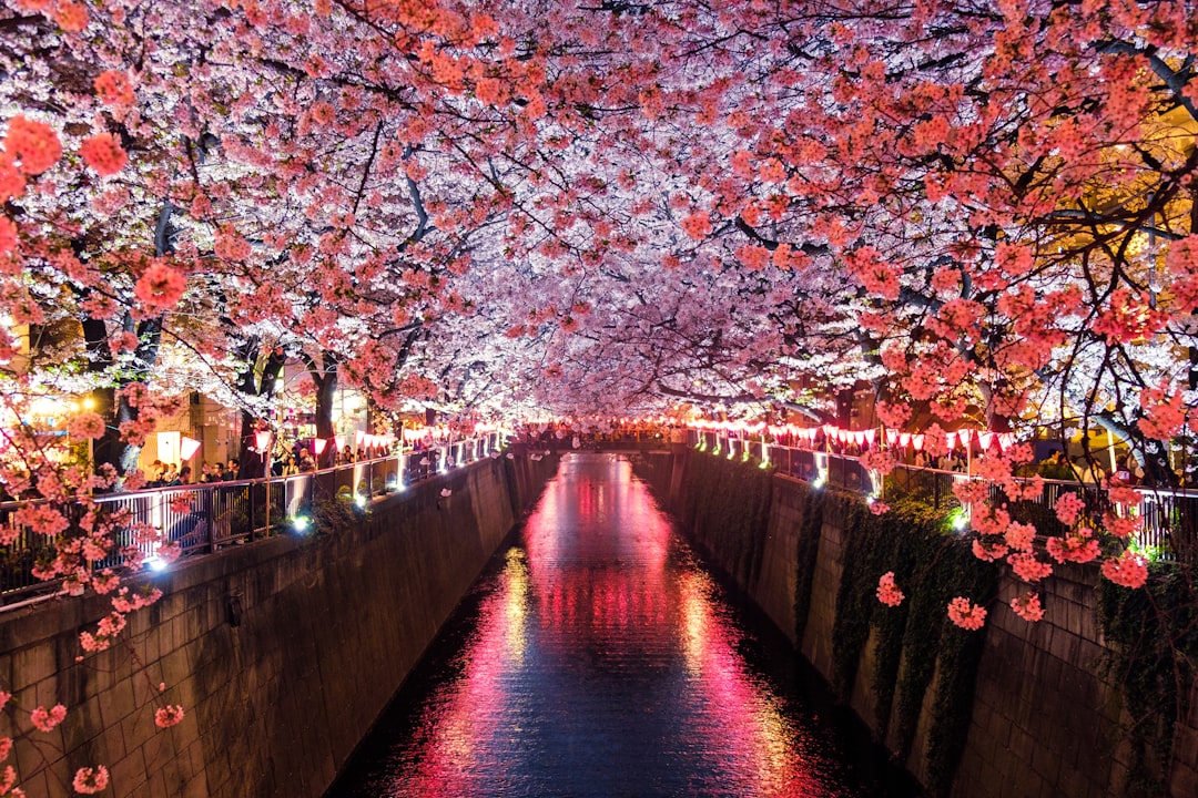 Sakaiminato Image