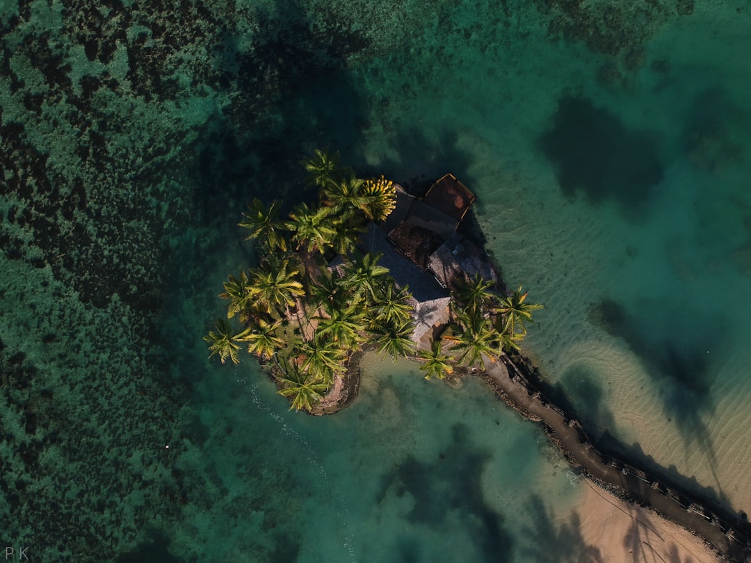 Savusavu Image