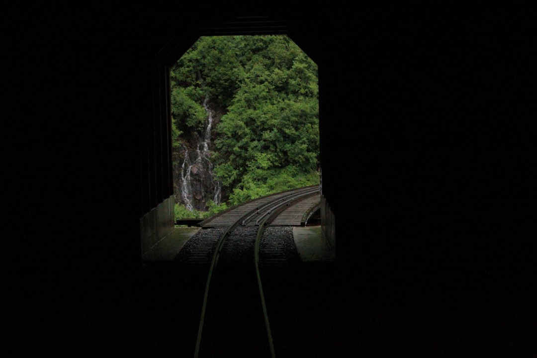 Skagway Image