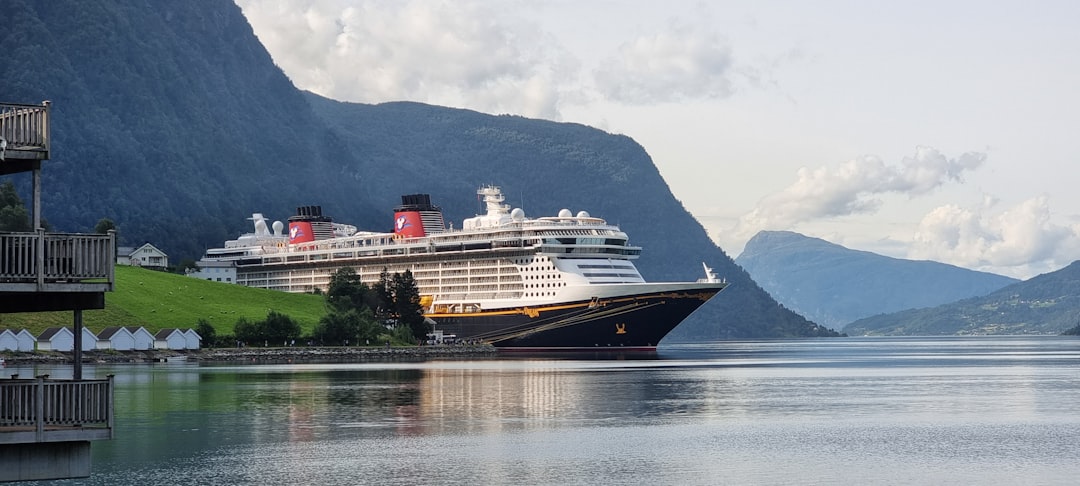 Skjolden Image
