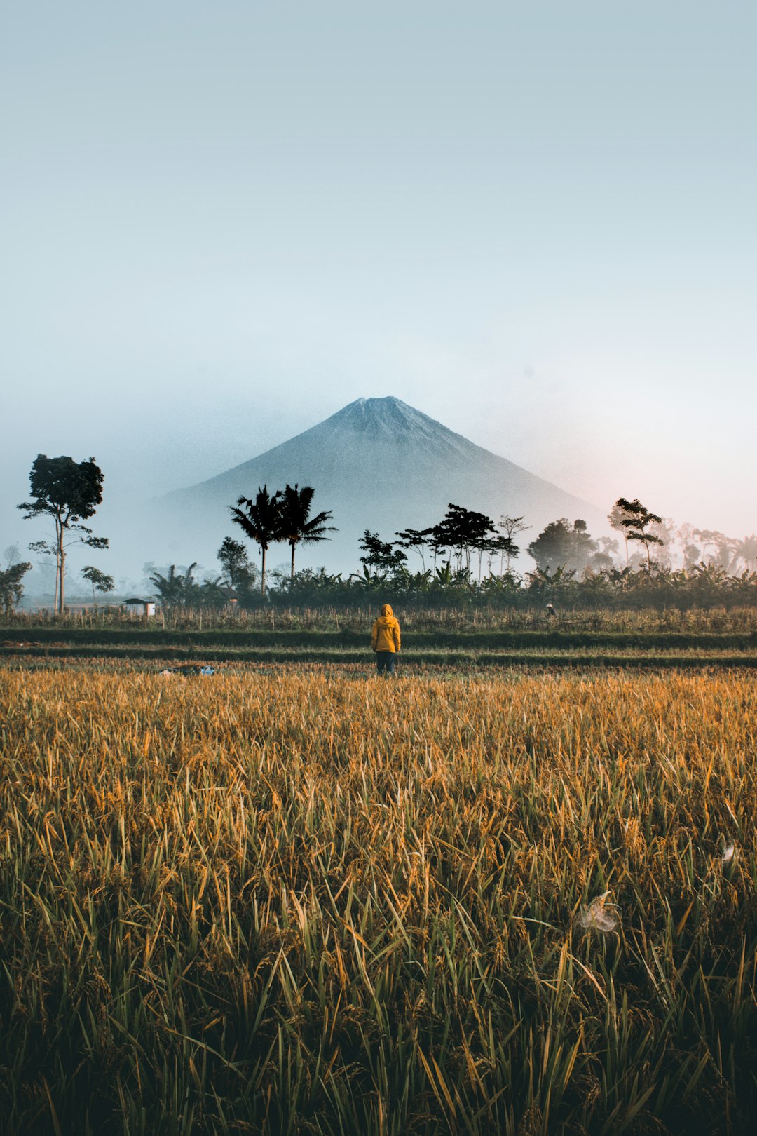 Tanjung Pandan Image