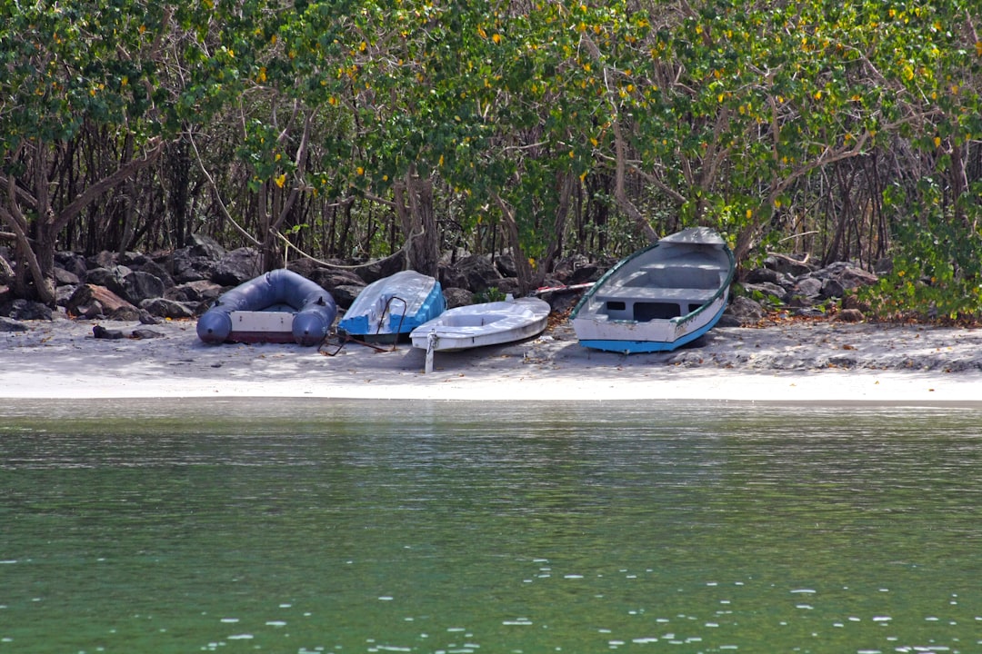 Tortola Image