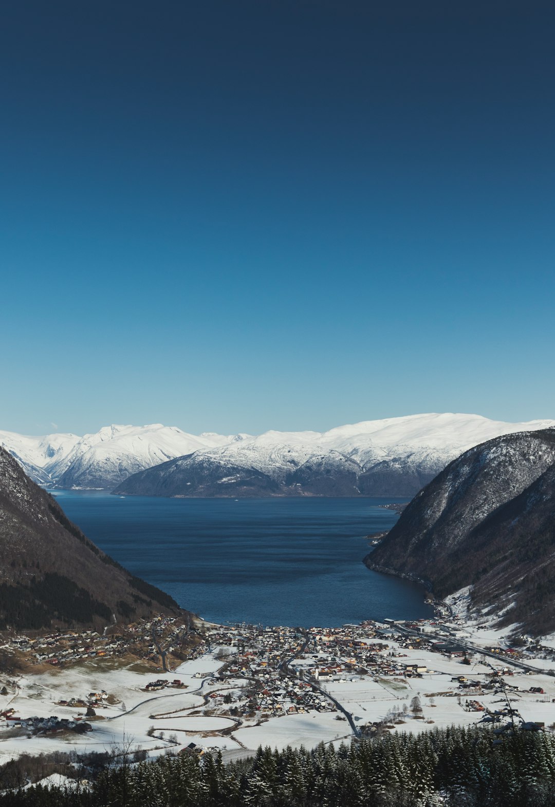 Vik Image